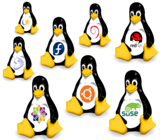 Distros Linux